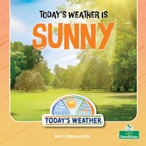 Today's Weather Is Sunny by Kerri Mazzarella, 9781039892941