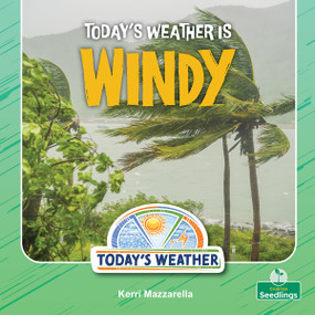 Today's Weather Is Windy by Kerri Mazzarella, 9781039892750