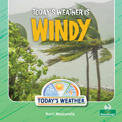 Today's Weather Is Windy by Kerri Mazzarella, 9781039892750