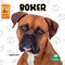 Boxer (Boxer) (Portuguese Edition) by Corinne Fickett, 9781039893535