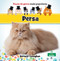 Persa (Persian) (Portuguese Edition) by Bernard Conaghan, 9781039893559