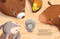 Snail's Perfect Passover by Nancy Churnin, Rozentsveig Alianna, 9781962011235
