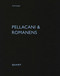 Pellacani & Romanens (Bilingual Edition) by Heinz Wirz, 9783037613788