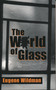 The World Of Glass by Eugene Wildman, 9780268019716