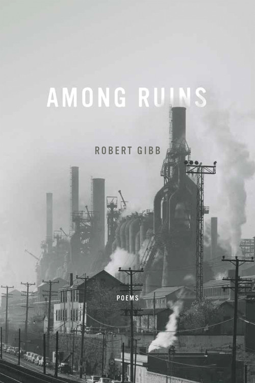Among Ruins by Robert Gibb, 9780268102104