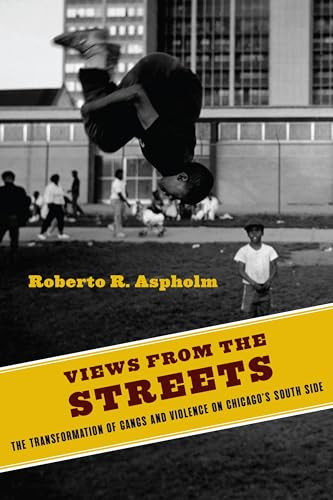 Views from the Streets (The Transformation of Gangs and Violence on Chicago's South Side) by Roberto Aspholm, 9780231187732