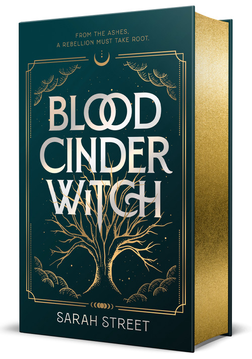 Blood Cinder Witch by Sarah Street, 9781250423610