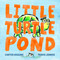 Little Turtle Pond by Carter Higgins, Travis Jonker, 9781250416186