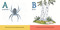 The Maine ABCs by Erika Zambello, Mary Zambello, 9781952143878