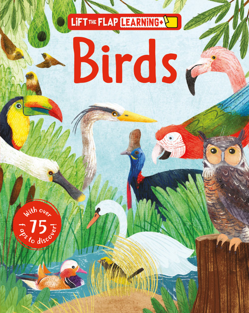 Lift the Flap: Learning+ Birds by Jackie McCann, Stephanie Fizer Coleman, 9798890942463