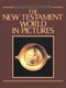 The New Testament World in Pictures by William H. Stephens, 9780718827014