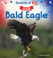 Our Bald Eagle by Heather Keller, 9798330929559