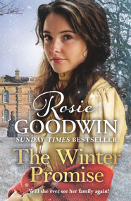 The Winter Promise by Rosie Goodwin, 9781838772215