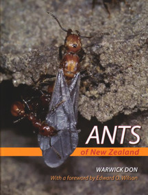 Ants of New Zealand by Warwick Don, Edward Wilson, 9781877372476