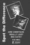 Spot the Difference (Are Cheetahs Really Just Big Cats?) by K. M. Bell, 9781904761600