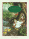 Daphne the Forgetful Duck by Shirley Barber, 9781925386035
