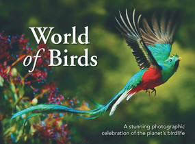 World of Birds (A Stunning Photographic Celebration of the Planet's Birdlife) by New Holland Publishers, 9781925546637
