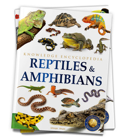 Animals: Reptiles and Amphibians by Wonder House Books, 9789354400018