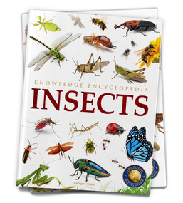 Animals: Insects by Wonder House Books, 9789354400094