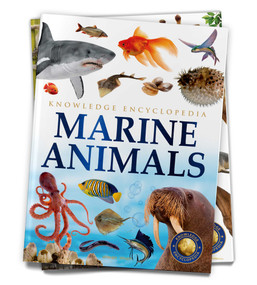Animals: Marine Animals by Wonder House Books, 9789354400162