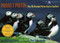 Project Puffin by Pete Salmansohn, Stephen W Kress, 9780884481713