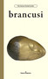 Brancusi by Constantin Brancusi, Glenn Mathes, Guillaume Lurson, 9798900080383