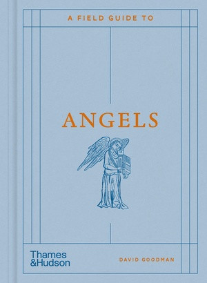 A Field Guide to Angels by David Goodman, 9780500031674