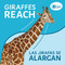 Giraffes Reach / Las jirafas se alargan (Spanish Edition) by Rebecca Glaser, 9798889880578