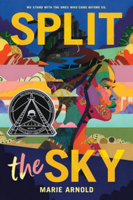 Split the Sky (Coretta Scott King Author Honor Title) by Marie Arnold, 9780316582902