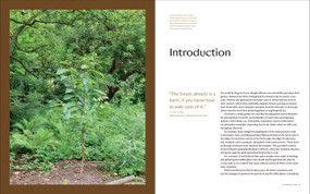 The Edible Shade Garden (How to Grow Shade-Tolerant Vegetables, Herbs, Fruit, and Flowers) by Amy Stross, 9781643264745