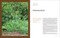 The Edible Shade Garden (How to Grow Shade-Tolerant Vegetables, Herbs, Fruit, and Flowers) by Amy Stross, 9781643264745