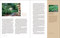 The Edible Shade Garden (How to Grow Shade-Tolerant Vegetables, Herbs, Fruit, and Flowers) by Amy Stross, 9781643264745