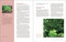 The Edible Shade Garden (How to Grow Shade-Tolerant Vegetables, Herbs, Fruit, and Flowers) by Amy Stross, 9781643264745