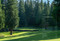 The Golf Course (A Photographer's Journey to Extraordinary Courses Around the World) by Evan Schiller, Lisa Holzwarth, 9781648295614