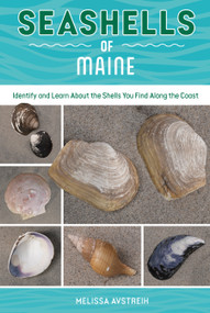 Seashells of Maine (Identify and Learn About the Shells You Find Along the Coast) by Melissa Avstreih, 9780764373503