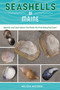 Seashells of Maine (Identify and Learn About the Shells You Find Along the Coast) by Melissa Avstreih, 9780764373503