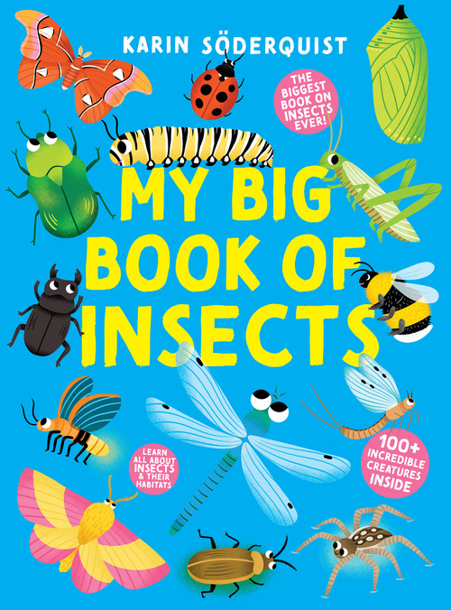 My Big Book of Insects by Healther Welfing, 9789370897144