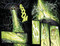 Innards by Rob Guillory, Sam Lotfi, Jean-Francois Beaulieu, Andrew Thomas, Sam Lotfi, 9798903850402