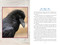 First Nations Totem Animals (Original Instructions for Discovering Your Spirit Allies) by Luke Blue Eagle, 9781591435617