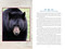 First Nations Totem Animals (Original Instructions for Discovering Your Spirit Allies) by Luke Blue Eagle, 9781591435617