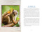 First Nations Totem Animals (Original Instructions for Discovering Your Spirit Allies) by Luke Blue Eagle, 9781591435617