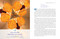 Kaleidoscopic Light Therapy (Restoring the Nervous System Through Rainbow Body Mapping) by Lara Light, Louisa Punt-Fouché, 9798888505069
