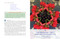 Kaleidoscopic Light Therapy (Restoring the Nervous System Through Rainbow Body Mapping) by Lara Light, Louisa Punt-Fouché, 9798888505069