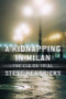 A Kidnapping in Milan (The CIA on Trial) by Steve Hendricks, 9780393065817