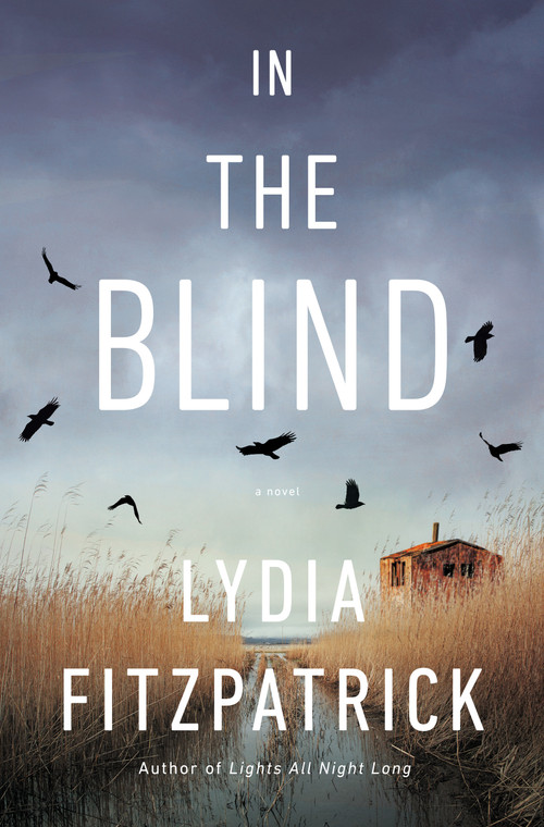 In the Blind (A Novel) by Lydia Fitzpatrick, 9780525558767