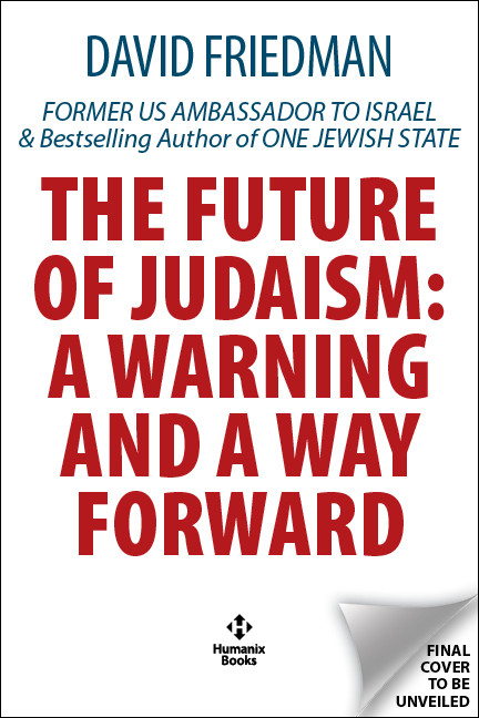 The Future of Judaism (A Warning and a Way Forward) by David Friedman, 9781630063665