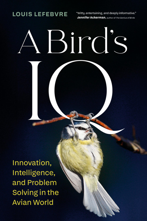 A Bird's IQ (Innovation, Intelligence, and Problem Solving in the Avian World) by Louis Lefebvre, Pablo Strauss, 9781778404948