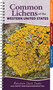Common Lichens of the Western United States (Easily Identify 66 Widespread Types) by Tanner Barnharst, 9781647557058