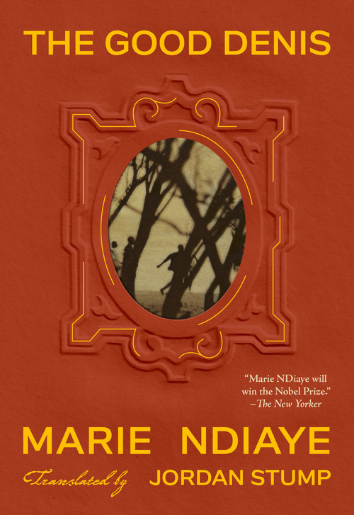 The Good Denis by Marie NDiaye, Jordan Stump, 9781966192176