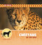 Cheetahs in the Wild by Sarah Gudenau, 9781668987391